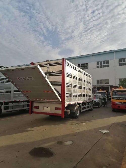 东风天龙畜禽运输车 高效运输解决方案，龙南运猪车灵活分期购