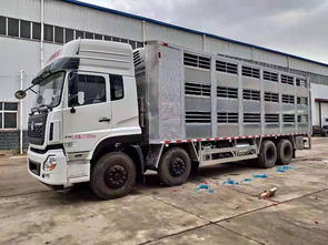 武汉畜禽运输车保障畜牧产业平稳运行，专用车辆规范上路