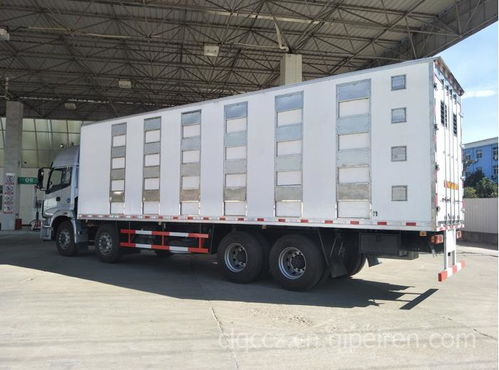 畜禽运输车 专业雏鸡运输车的选择与使用指南